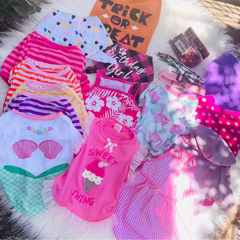 Girl Dog Clothing & Accessories | Medium